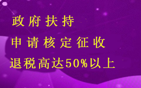 合伙企业/个人独资企业税